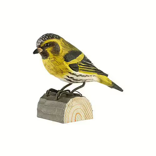 Eurasian Siskin