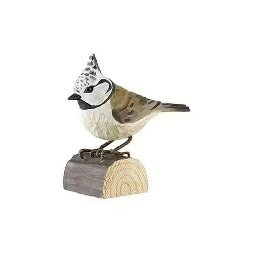 Crested Tit