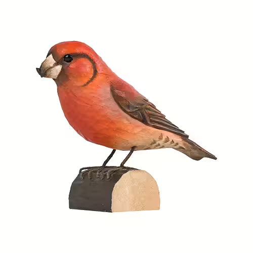 Red Crossbill