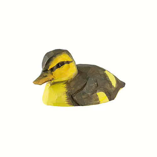 Mallard Duckling