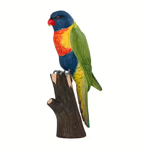 Rainbow Lorikeet