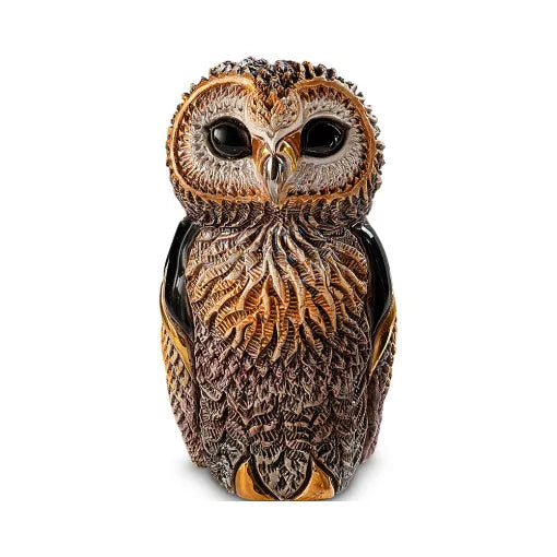 African Cape Owl