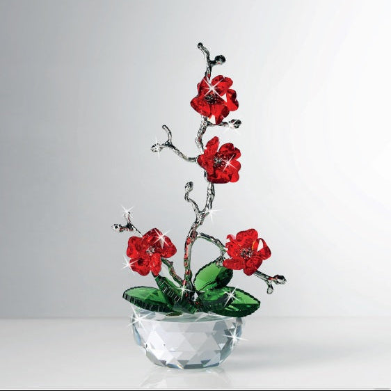 Bonsai