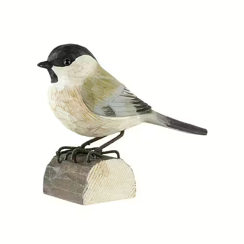 Marsh Tit