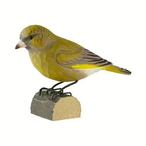 Greenfinch
