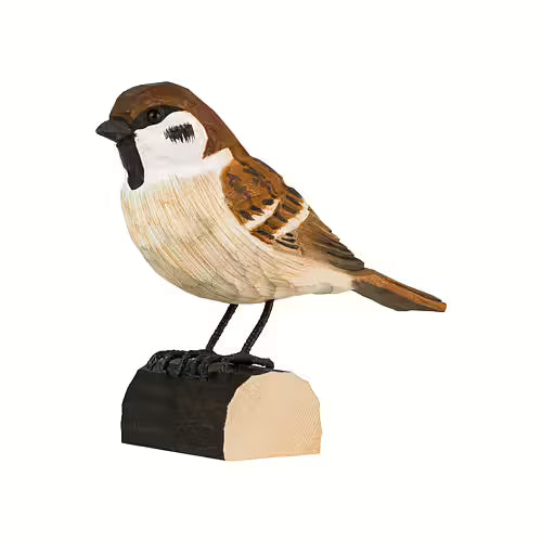 Tree Sparrow