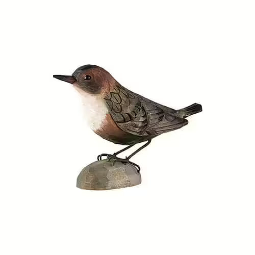 Dipper