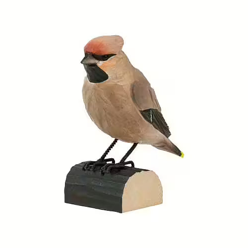 Bohemian Waxwing