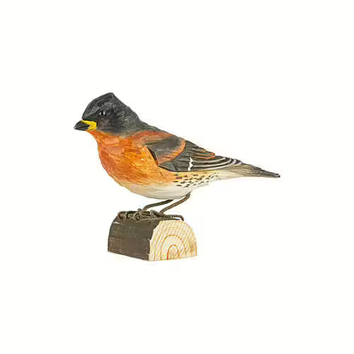 Brambling