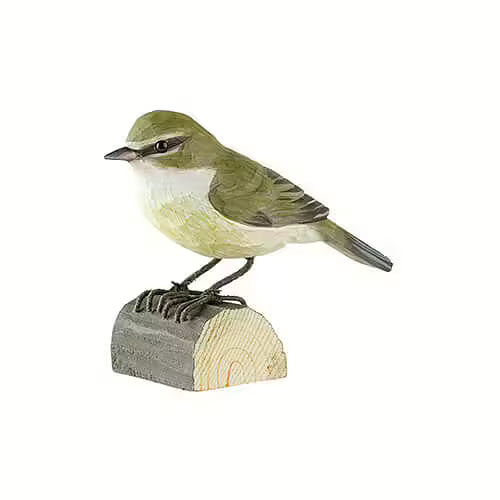 Chiffchaff