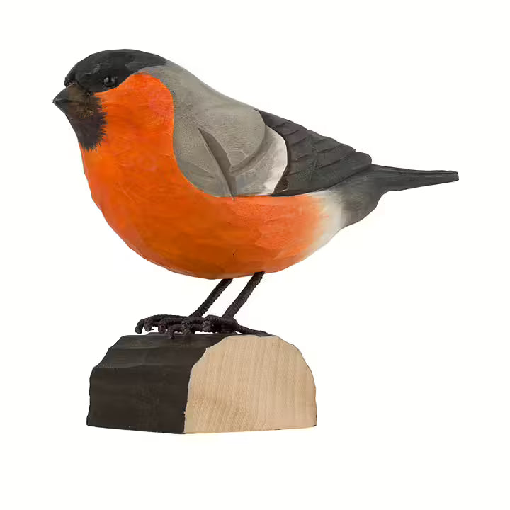 Bullfinch