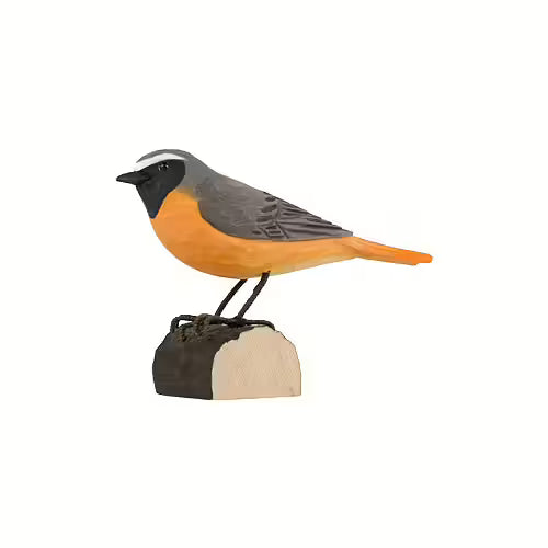 Redstart