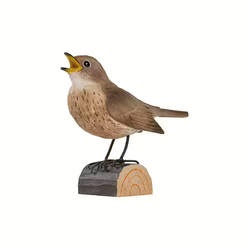 Trush Nightingale