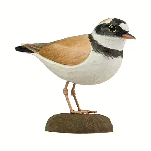 Little Ringed Plover