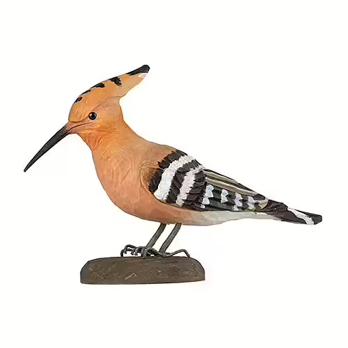 Eurasian Hoopoe
