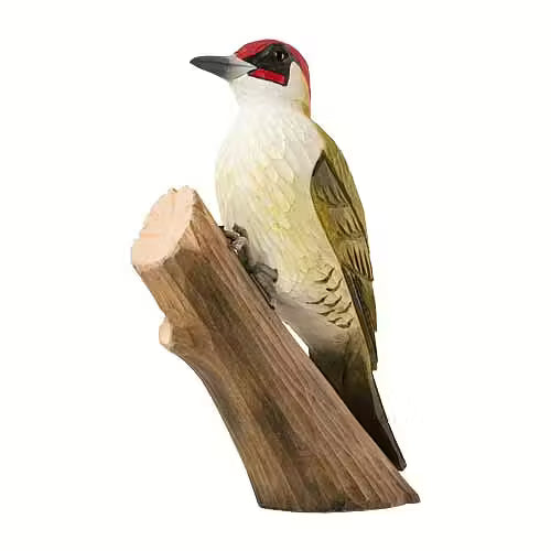 Green Woodpecker