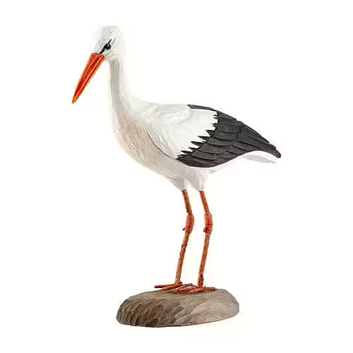 White Stork