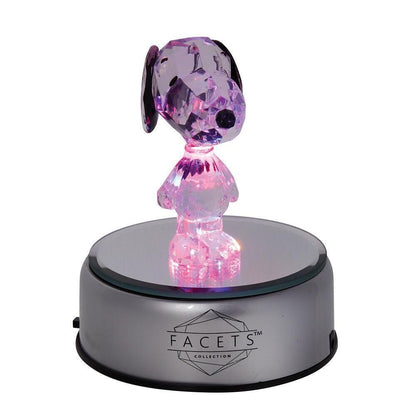 Light Base Facet