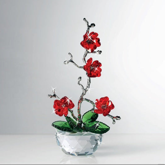 Bonsai